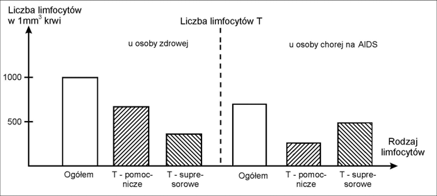 4 Egzamin maturalny z biologii Zadanie 6. (2 pkt) Na diagramach przedstawiono zawartość limfocytów T we krwi dwóch osób: osoby zdrowej i chorej na AIDS.