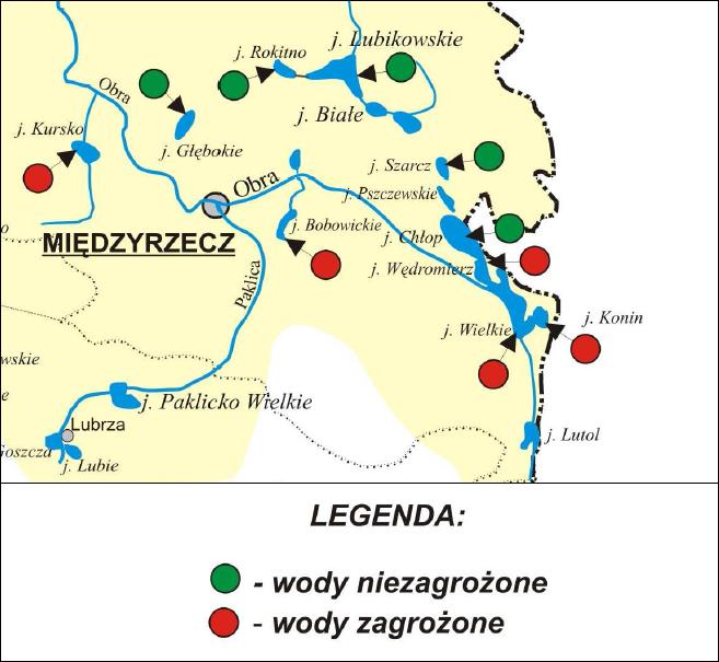 Ocena możliwości ochrony jeziora Konin Ryc. 37. Stopień zagrożenia eutrofizacją spowodowaną zrzutem ścieków komunalnych określony w 2009 roku przez WIOŚ w Zielonej Górze (fragment mapy) 12.