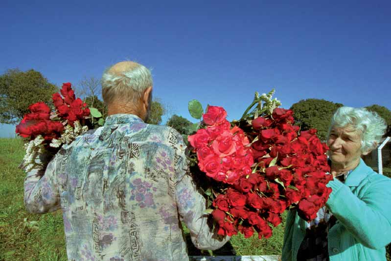 n Luis Grochot, lat 73 Syn Francisca Grochota i Rosálii z domu Zimniak Capela Nossa Senhora do Rosário (gmina Santo Antônio do Palma) Data: