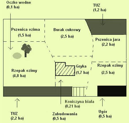 Dodatkowo wysiano uprawę wiążącą azot (koniczynę białą).