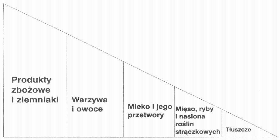 energetycznym podczas intensywnej pracy fizycznej młodego piłkarza i związku z tym spożycie ich należy jak najbardziej ograniczać.