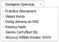 2.Dla grupy usług, możesz zaznaczyć checkbox po lewej stronie, przy każdej usłudze, którą chcesz przedłużyć, a następnie przycisk Wykonaj Rysunek 3-6 Zbiorcze przedłużanie Abonamentu W przypadku