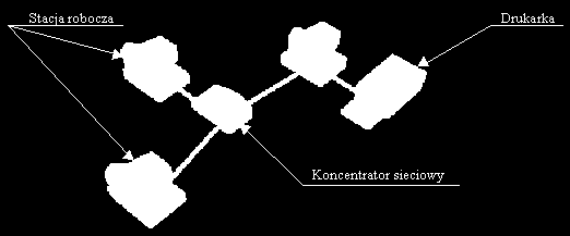 Typy sieci komputerowych Sieć typu