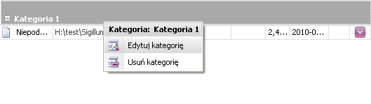 6.2.4.1 Dodawanie kategorii Aby dodać nową kategorię należy w oknie przypisywania kategorii wcisnąć przycisk Dodaj Kategorię.