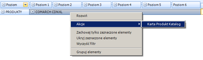 1.2.3 Akcje Akcje to funkcjonalność, która pozwala z poziomu Raportu OLAP wywołać karty obiektów CDNXL (np. kartę dokumentu, kontrahenta, produktu).