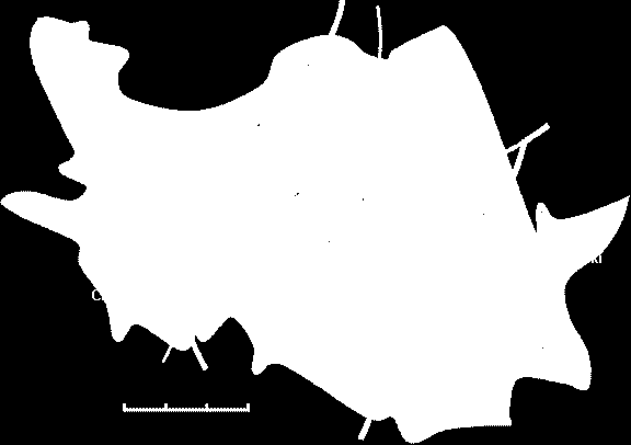 Rozdział I Część diagnostyczna DIAGNOZA STANU MIASTA I GMINY ŁAZY 2008 POŁOŻENIE GEOGRAFICZNE Gmina Łazy położona jest we wschodniej części województwa śląskiego, w powiecie zawierciańskim.