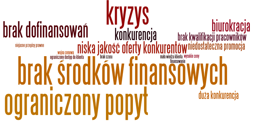 Rysunek 42. Co w największym stopniu ogranicza rozwój firm z Państwa branży? Źródło: Opracowanie własne na podstawie badania CATI 4.5.4 Co sprzyja rozwojowi sektora?