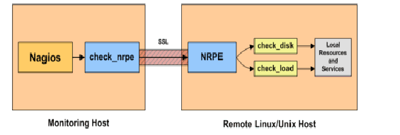 Monitoring sieci Nagios Wstęp HomePage : http://www.nagios.