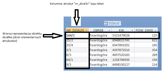 specjalizacji i zmienności aplikacji z nich korzystających. Oczywiście istnieje wiele pomysłów na organizację danych w postaci bazy danych.