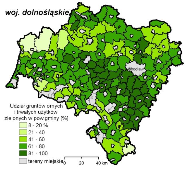 powierzchniowe jednostki odniesienia, które w przypadku kartogramu są z góry założone, natomiast w mapie dazymetrycznej wynikają ze zmienności samego zjawiska.