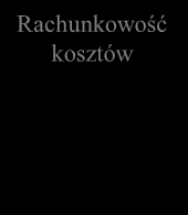 Struktura funkcjonalna Strategiczny biznes plan przedsiębiorstwa Zarządzanie finansami Baza danych Kroczący plan sprzedaży Zamówienia Prognoza Baza danych Rejestr należności Rachunkowość