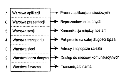 1 warstwa fizyczna podstawowa warstwa zaangażowana w transmisję danych przez fizyczne przewody definiuje elektryczne, mechaniczne, proceduralne i funkcjonalne specyfikacje aktywowania, utrzymywania