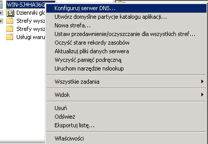 Utwardzanie DNS konfiguracja (1) Panel