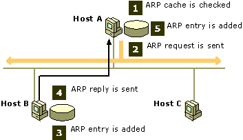 oprogramowanie protokołu TCP/IP na adresy kontroli dostępu do nośnika (MAC), z których korzystają urządzenia sieci LAN.