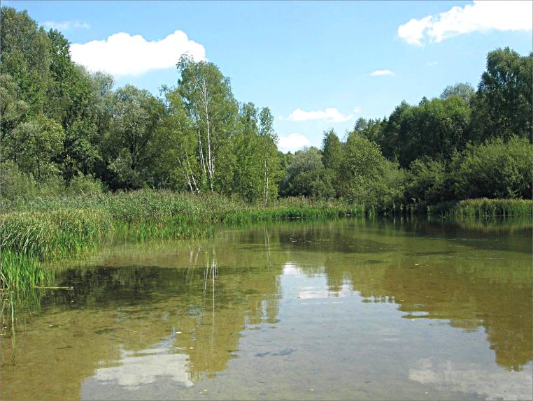 gólnie we wschodniej części (fot.