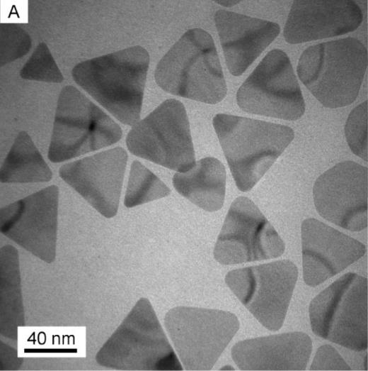 Następnym krokiem do uzyskania srebrnych nanotrójkątów było połączenie roztworu z otrzymanymi uprzednio zarodkami w 5 ml ultraczystej wody z 75 µl kwasu askorbinowego o stężeniu molowym C m = 10