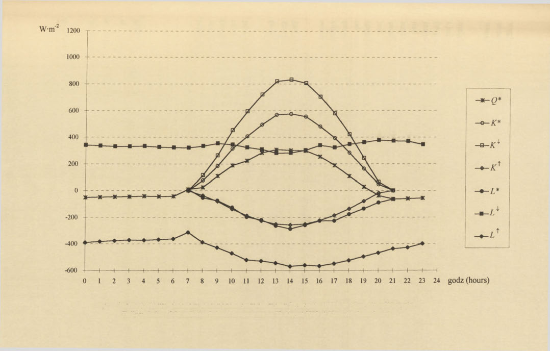 Rye. 3. Przebieg dobowy składników bilansu promieniowania w dniu 22 sierpnia 1989 r.
