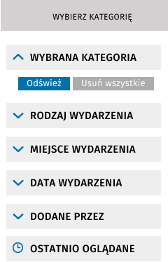 Panel filtrowania zawiera następujące sekcje i kategorie: 1. Wybrane kategorie (wartości filtrowania wybrane przez użytkownika) 2.