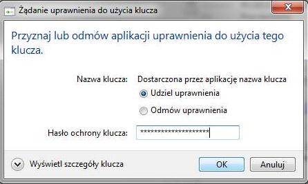 4. W wyświetlonym oknie wybierz Udziel uprawnienia.