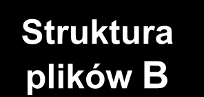 Rodzaje kart karta Java EE PROM Struktura plików A Aplikacja A Struktura plików B Aplikacja B Niezależność sprzętowa R O M JAVA Card API