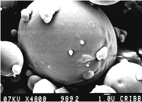 Zastosowania polimerów biodegradowalnych mikro-i nanocząski proleki hydrożele filmy
