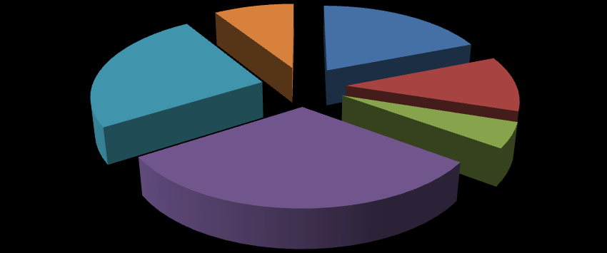 detaliczne 11% księgarnie internetowe 5% największe hurtownie (7) 31% pozostałe hurtownie 25%