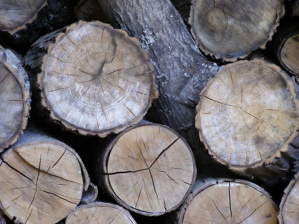 Wpływ jakości drewna Tradycyjnie do wytwarzania dymu stosuje się twarde drewno z drzew liściastych.