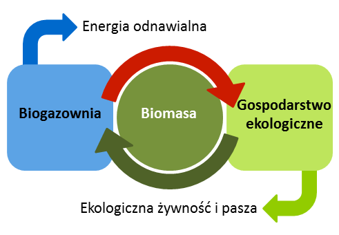 4 Biogaz ekologiczny sprawdź to! 1 Biogaz ekologiczny sprawdź to! Czy produkcja biogazu pasuje do idei rolnictwa ekologicznego i gospodarki opartej na naturalnym recyklingu?