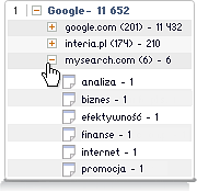 Dane ilościowe prezentowane w statystykach, w czytelnym interfejsie, wykonanym w technologii FLASH. 30 słów kluczowych dla jednej domeny, dla każdej z przeglądarek.