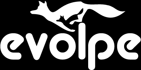 evolpe Consulting