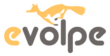 Rynek oprogramowania evolpe Consulting Group Open Source Commercial Open Source