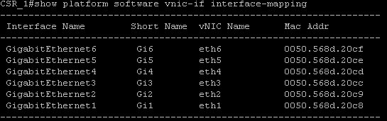 Max vnics per Hypervisor E1000, VMXNET2, VMXNET3 Subinterfejsy Hypervisor