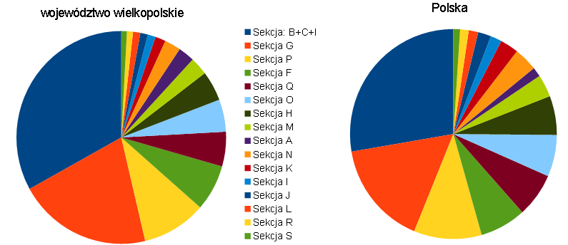 Porównując współczynnik Giniego przeciętnego zatrudnienia województwa wielkopolskiego na tle kraju można stwierdzić, że występują w nim większe nierówności rozkładu między poszczególnymi sekcjami PKD.