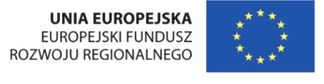 Program jest współfinansowany ze środków unijnych w ramach