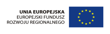 Warszawa, 02.01.2015 r. NIP: 521-32-79-750 Założenia projektowe dla zapytania ofertowego SKR_ZA_01/2015 I.