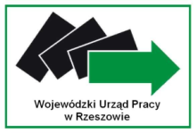 pl/ Przedmiot zamówienia: Wykonanie i obsługa zintegrowanego systemu informatycznego internetowej platformy informatycznej dla potrzeb ekonomii społecznej w województwie podkarpackim