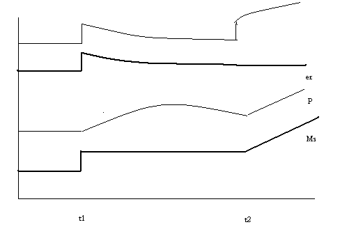 OVERSHOOT - TEORIA MONETARNA Pieniądz i kursy: ceny