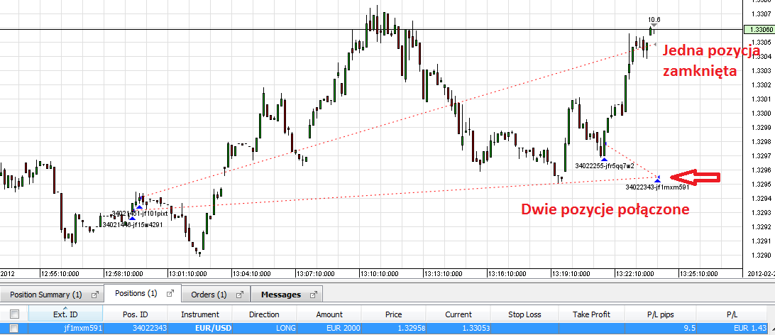 Kwota transakcji w jednostkach wybranych w ustawieniach platformy (Amount), Cena zawarcia transakcji (Price), Cena obecna (Current), Poziom Stop Loss, Poziom Take Profit, Zysk/Strata wyrażone w