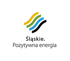 Załącznik nr 1 do Uchwały nr 1984/282/IV/2013 Zarządu Województwa Śląskiego z dnia 10 września 2013 r.