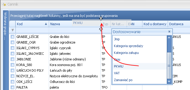 Pod prawym przyciskiem myszy w sekcji kolumn są dostępne opcje: sortowania, grupowania, usuwania, autodopasowania kolumn oraz przywracania układu domyślnego: Rys. Ustawienia kolumn.