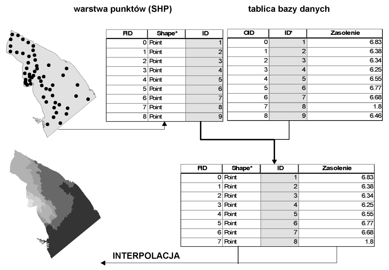 Rys. 4.11 Połączenie wektorowej warstwy punktów pomiarowych z tablicą bazy danych zawierających wyniki pomiarów w celu wykonania mapy rozkładu zmiennej w przestrzeni za pomocą interpolacji.