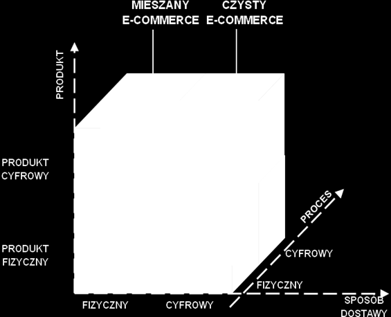 Wskutek binarności w trzech wymiarach, produktowym, dystrybucyjnym (sposób dostawy) oraz procesowym tworzy się olbrzymia przestrzeń do zastosowania rozwiązań e-biznesowych.