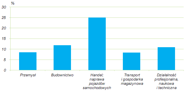 Wykres 5. Podmioty w Szczecinie według wybranych sekcji 31.12.2009r. Źródło: Szczecin w liczbach 2010, Szczecin, Urząd Statystyczny w Szczecinie.