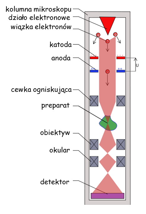 Część literaturowa Rys. 57. Uproszczony schemat blokowy transmisyjnego mikroskopu elektronowego (TEM) [233]. II. 8. 6.