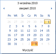 danej listy w programie (uwzględniane są grupowania, sortowania itp.). Plik zapisywany jest na dysku w formacie *.xls i może być otwarty dowolnym programem obsługującym ten format.