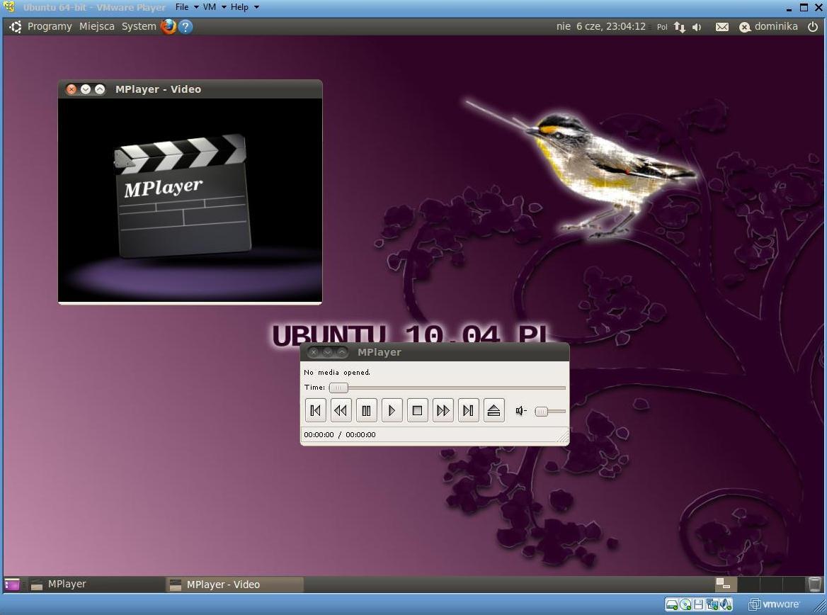 jego rozwojem projekt informatyczny. Powstał w 2000 roku, jako odtwarzacz filmów dla systemu operacyjnego Linux.