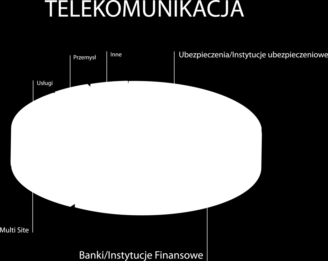 13. INFORMACJE O RYNKACH ZBYTU Grupa realizuje sprzedaż głównie na rynku krajowym. Posiada zdywersyfikowany portfel odbiorców i dostawców. Przychody spółki nie są uzależnione od jednego odbiorcy.