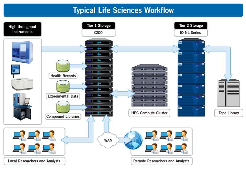 Life Sciences