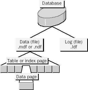 9. MICROSOFT SQL SERVER informacje dodatkowe 9.1. Struktura danych, działanie loga transakcji 9.2.