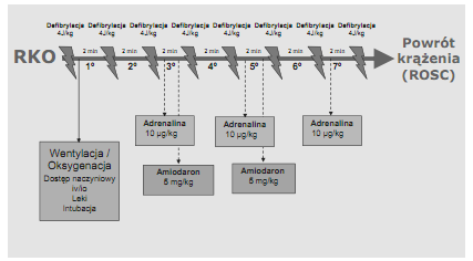 198 D. Biarent, R. Bingham, Ch. Eich, J. López-Herce, I. Maconochie, A. Rodríguez-Núñez, Th. Rajka, D. Zideman Zatrzymanie krążenia: rytm nie do defibrylacji Ryc. 6.10.